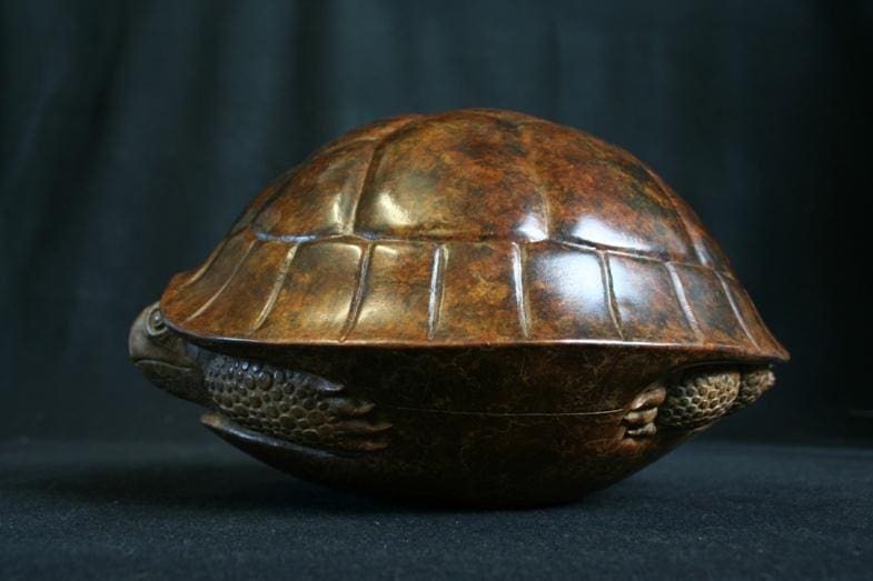 Tortoise