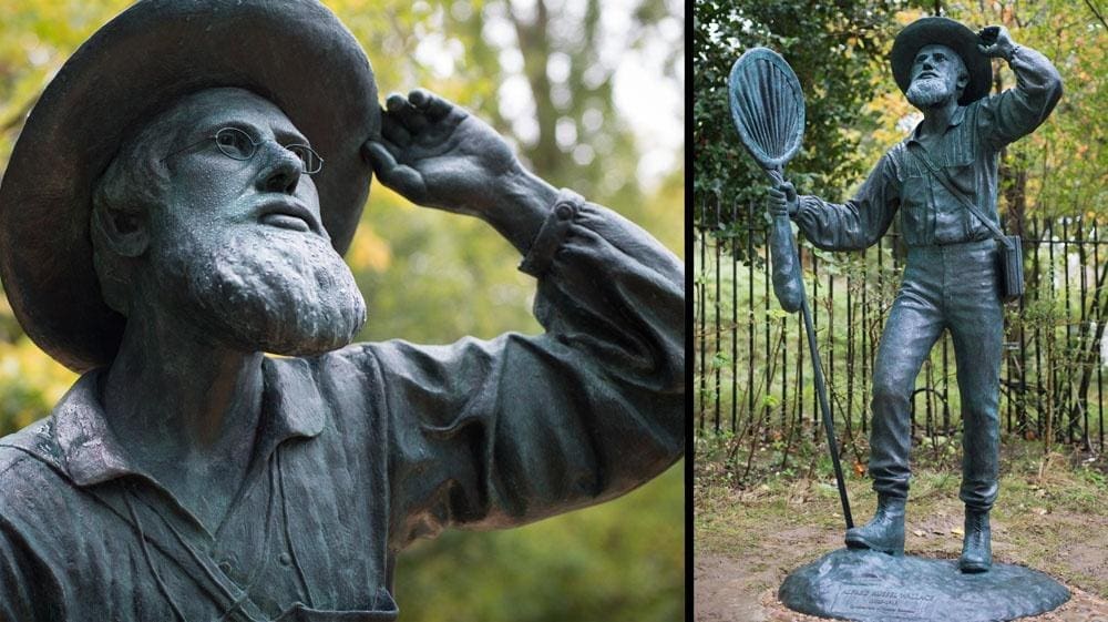 Alfred Russel Wallace (SOLD: Bronze Male Commission sculpture)