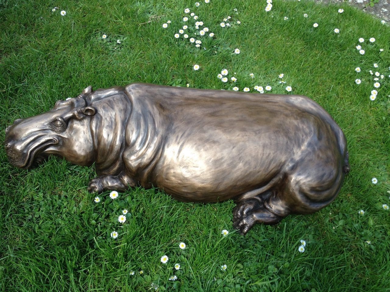 Hippo Sleeping