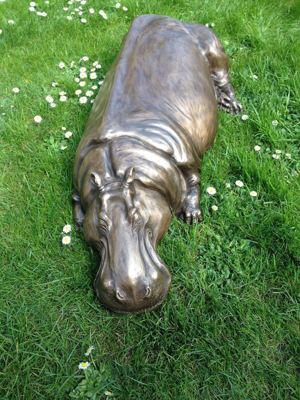 Hippo Sleeping - Image 4