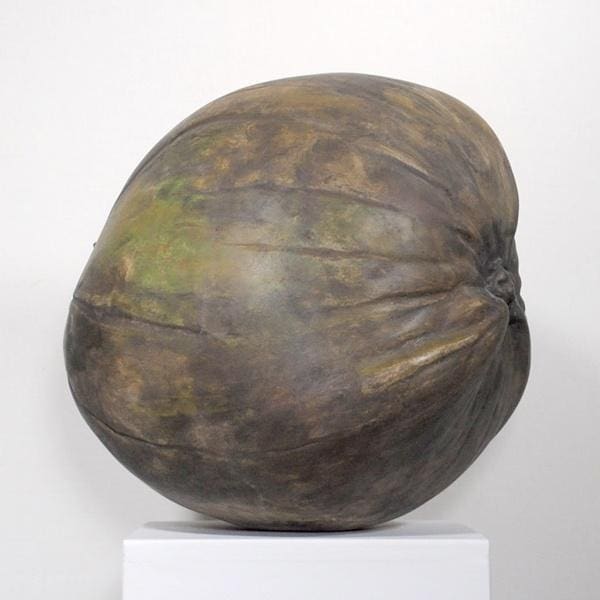 Coconut (Outsize Big Ceramic  Coconut sculpture) - Image 3
