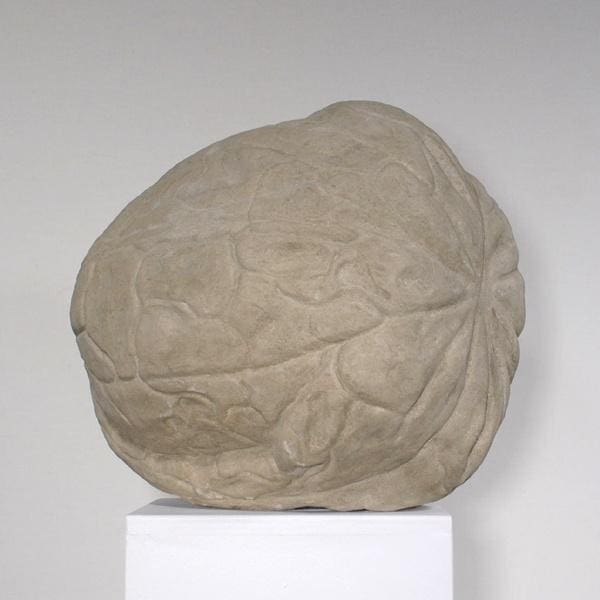 Walnut Outsize Stone Lifelike Nut statue - Image 4
