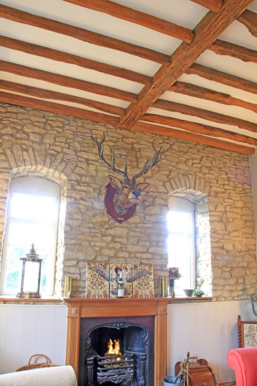 Red Deer Stag (Papier Mache life size Head sculpture)