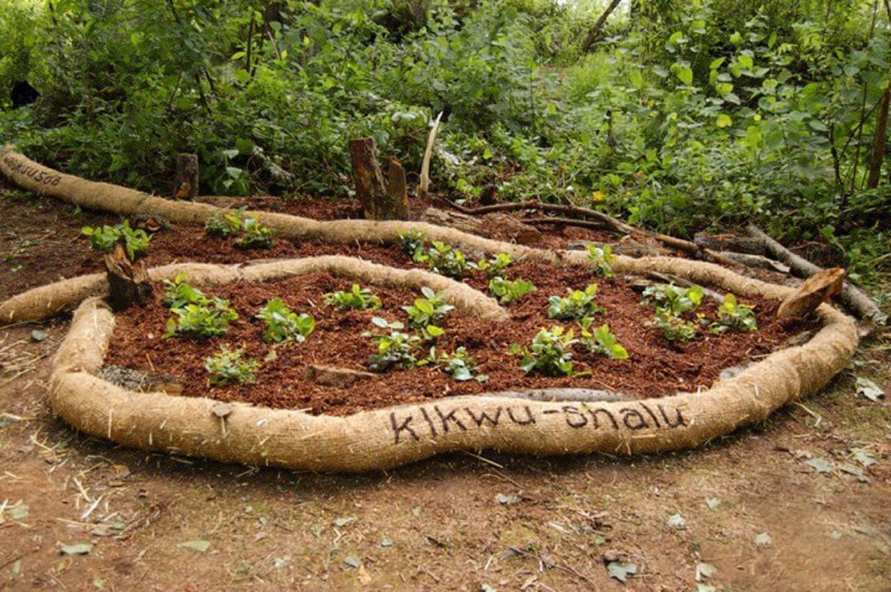 Squiggle Salal (Conceptual Abstract Outside sculpture)