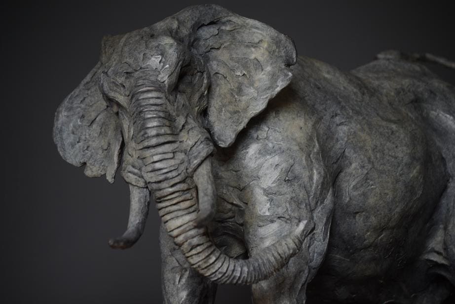 African Elephant Bull (Bronze posturing sculpture)
