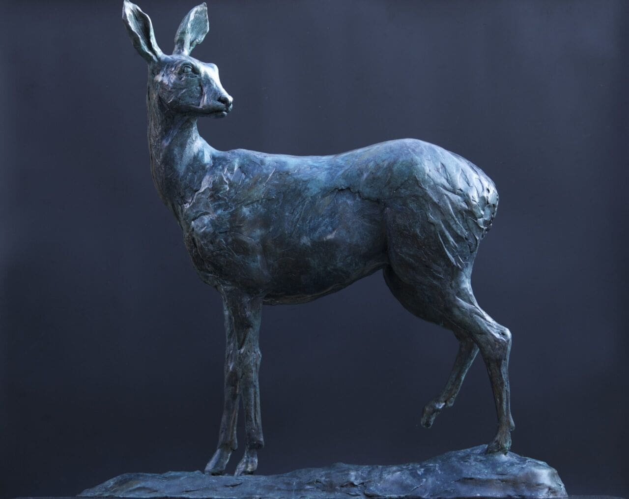 Roe Doe