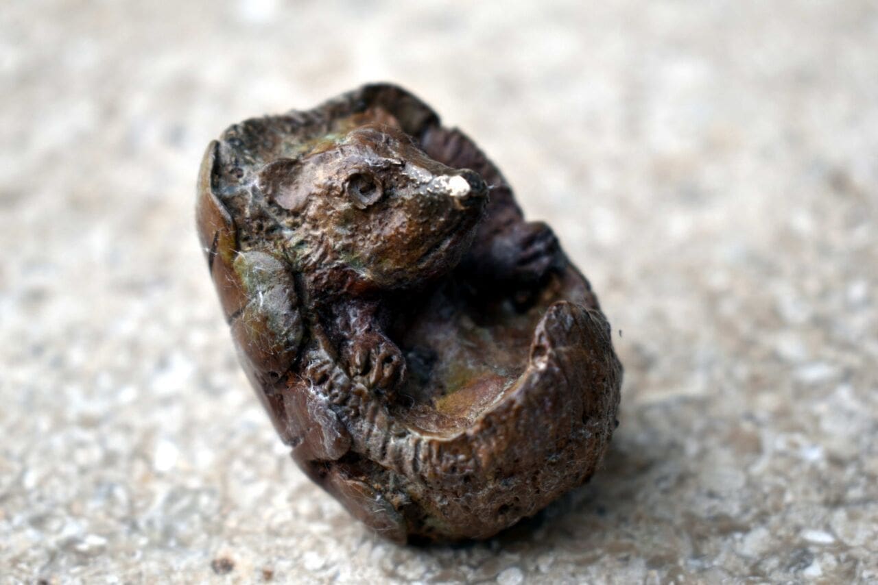 Hedgehog