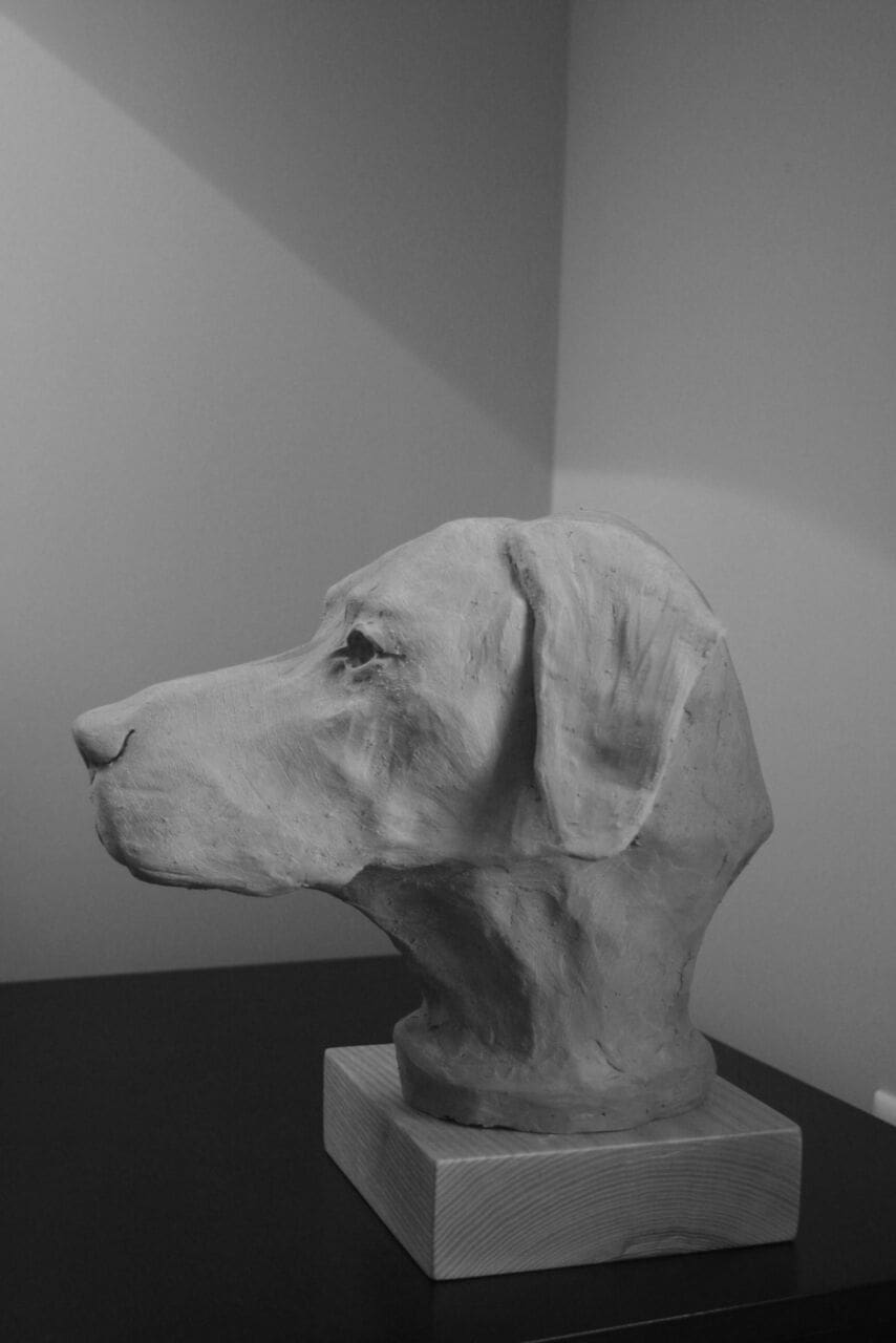 Young Labrador Retriever (Dog`s Head Bust Statue) - Image 2