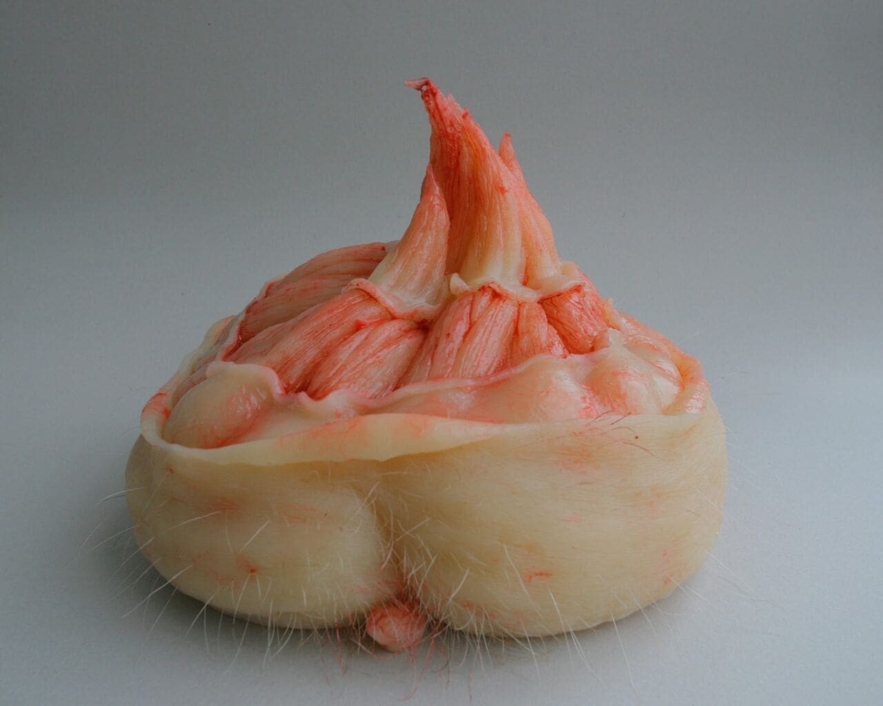 Fantasy Food (Super Realistic Life Like Food sculpture)