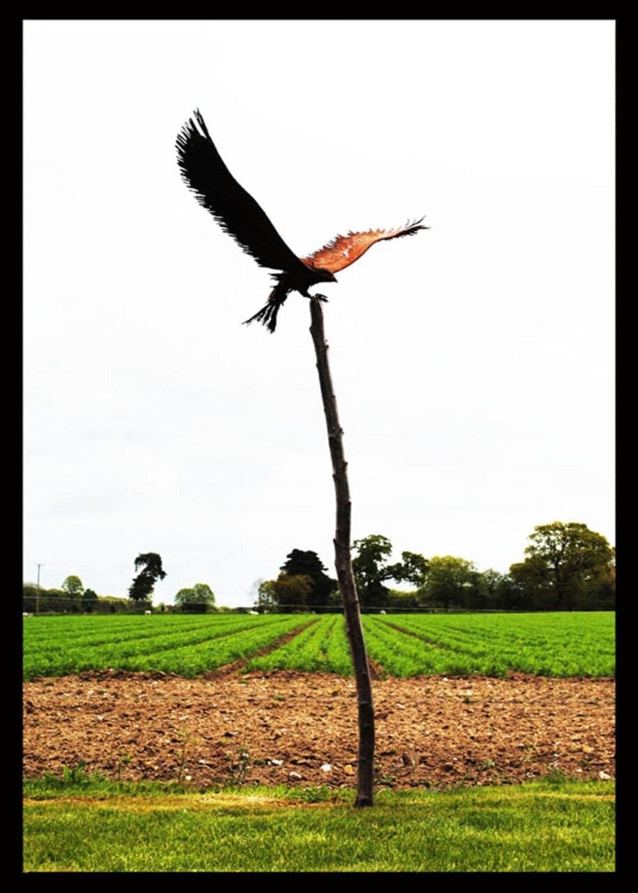 Bird of Prey (Steel Falcon Raptor Landing statue)