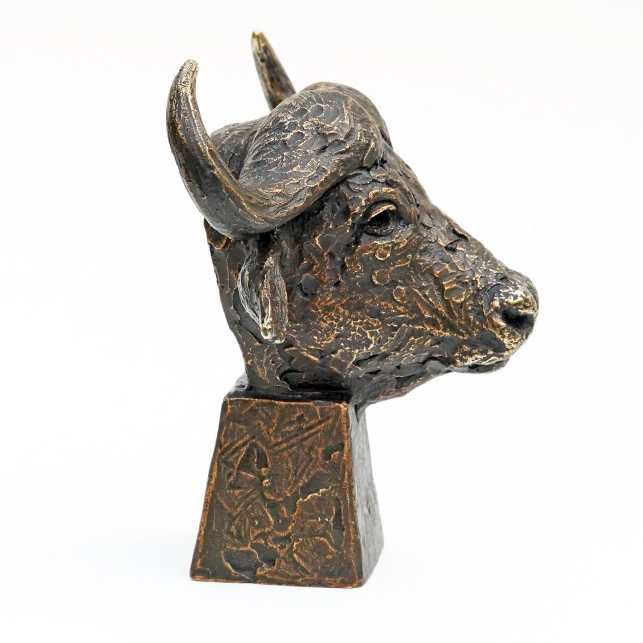 African Buffalo Miniature (Bronze Head sculptures) - Image 4