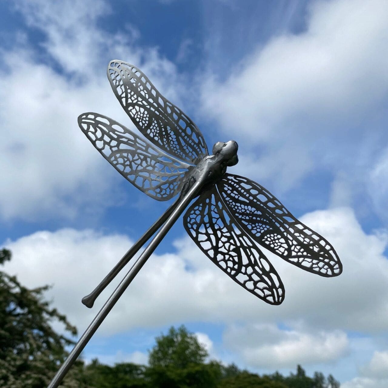 Dragonfly - Image 3