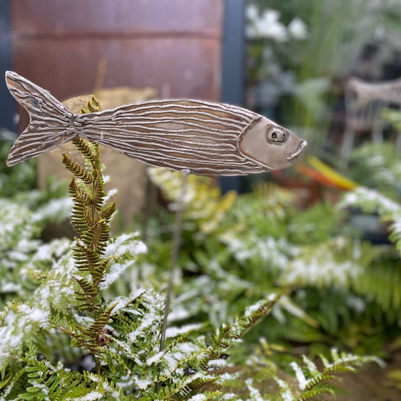 Fish - Image 2