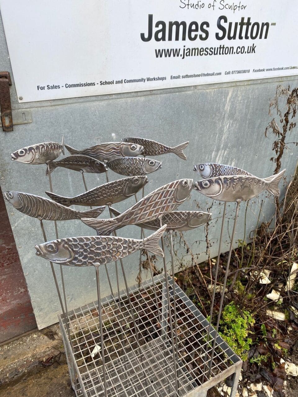 Fish - Image 3