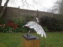 Duck Cleaning Feathers (Natural Pose sculpture)