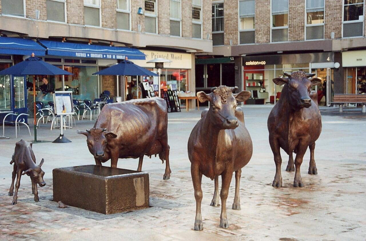 Jersey Cow (Small Bronze Cattle Head Bust sculpture) - Image 4