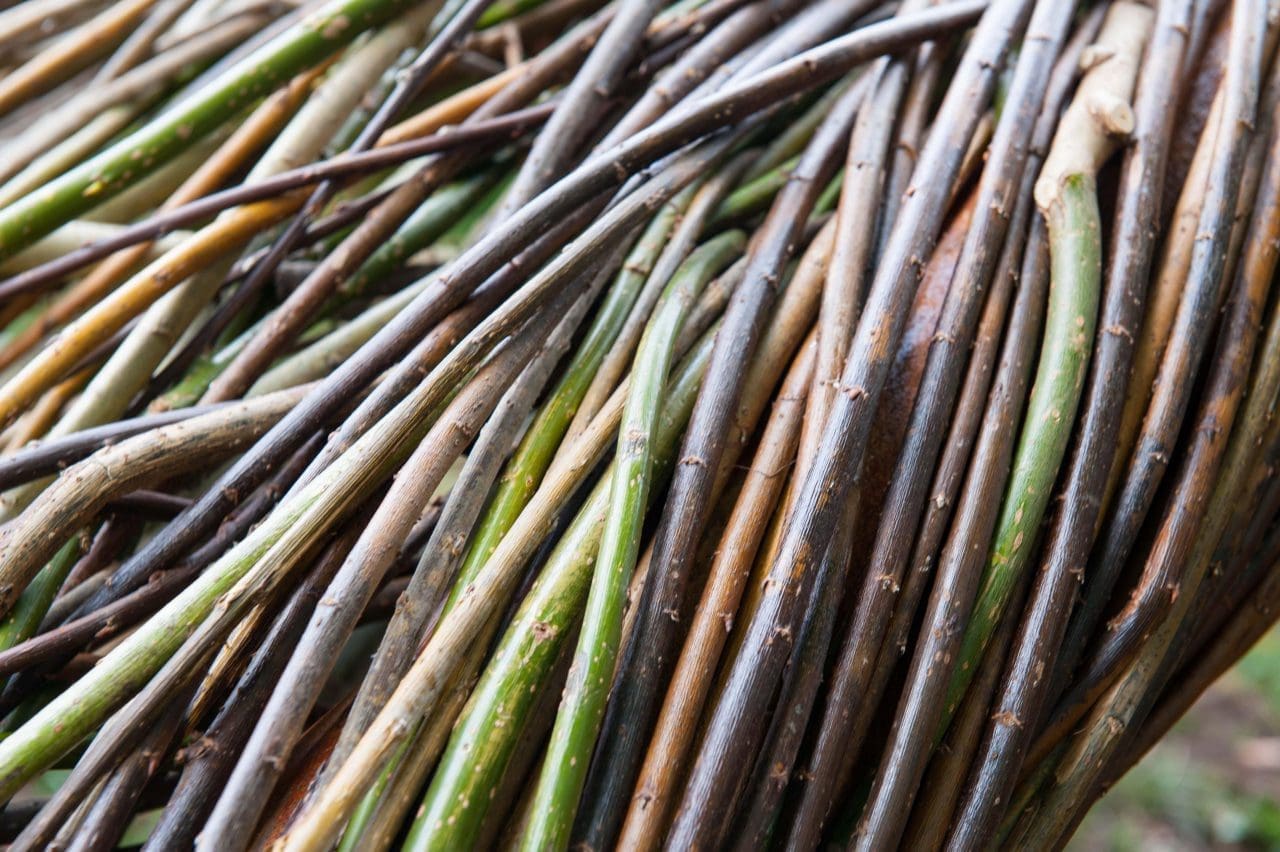 Coronation Arch (Giant Woven Willow Arch sculpture) - Image 4