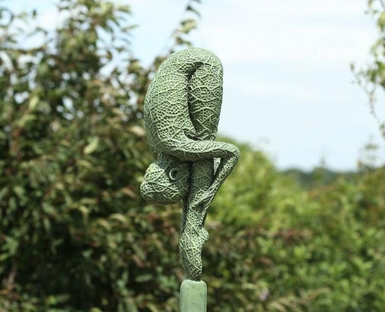 Bud