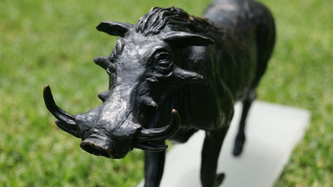 Warthog Running - Image 5
