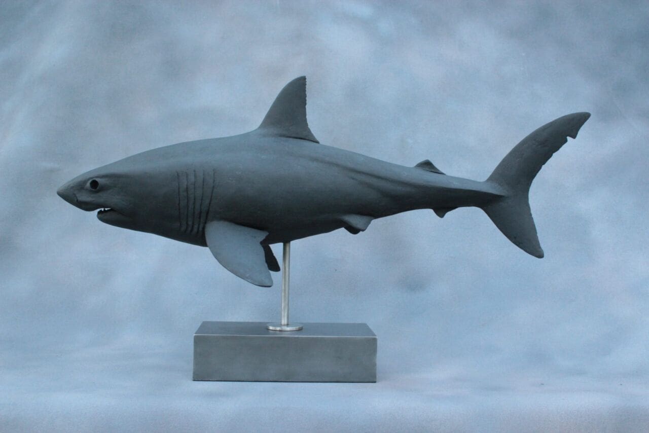 White Shark (Bronze Denizen of the Deep sculpture)