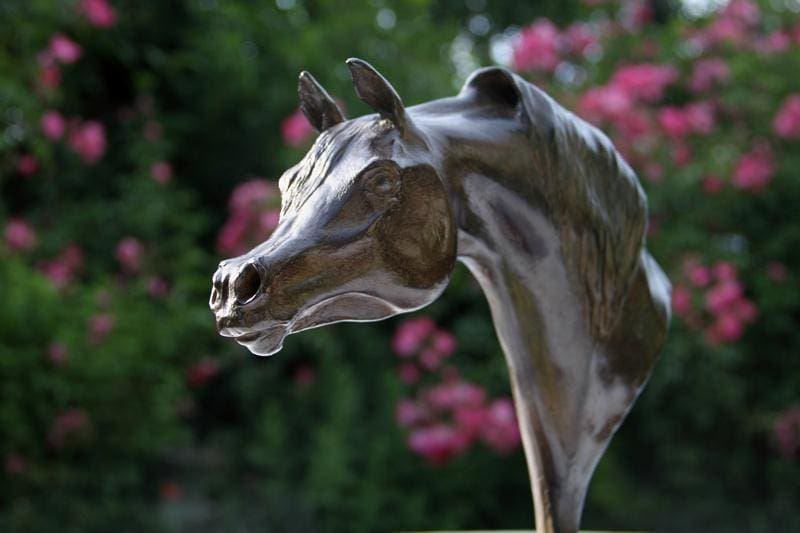 Arabian Horse (Small Bronze Head sculpture) - Image 2