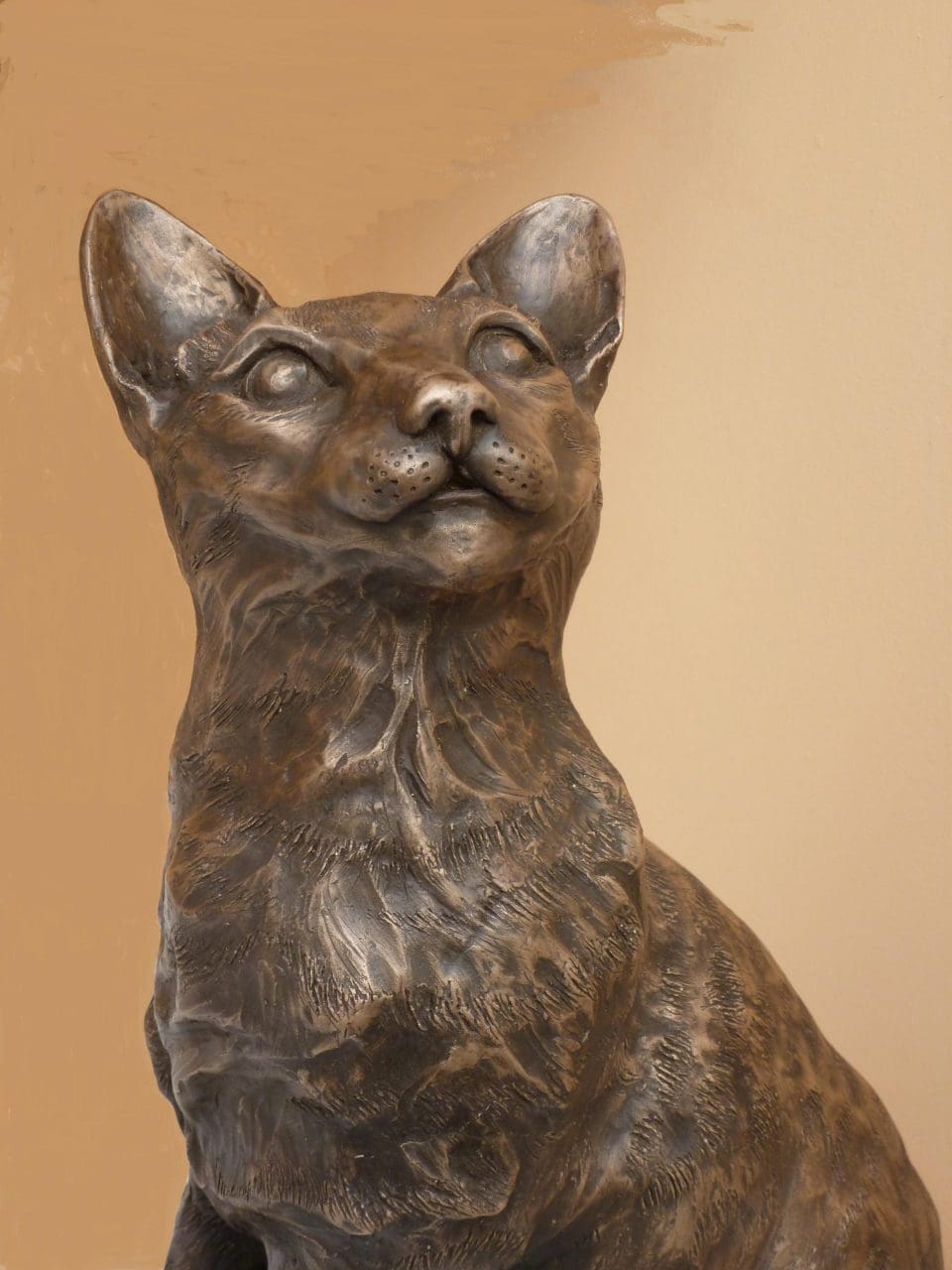 Tina - Ocicat (Lifesize Resting Cat statue) - Image 5