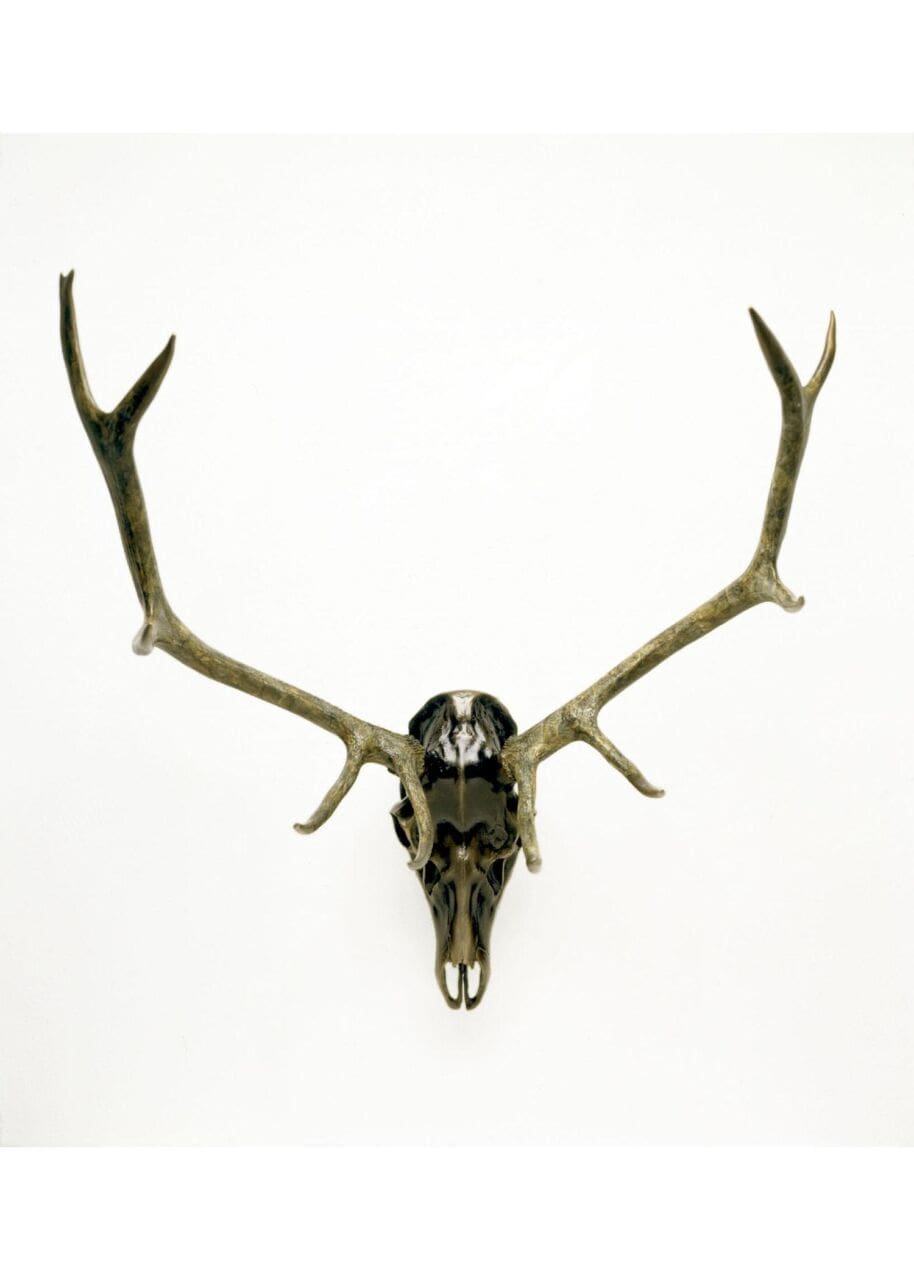 Georgia on My Mind (Deer Mask Antlers Wall Statue)