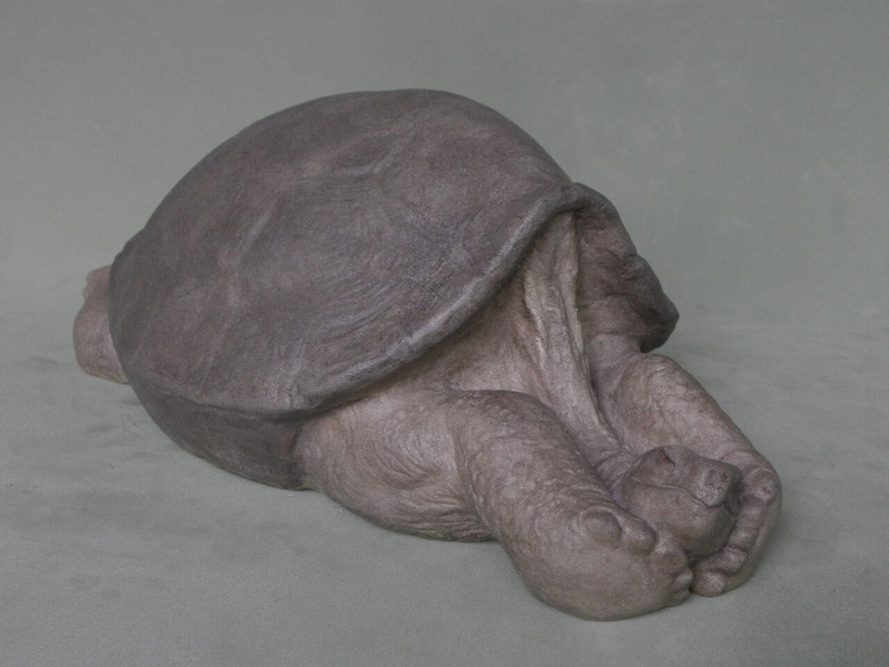 Galapagos Tortoise (Sleeping Reptile Garden statuette)