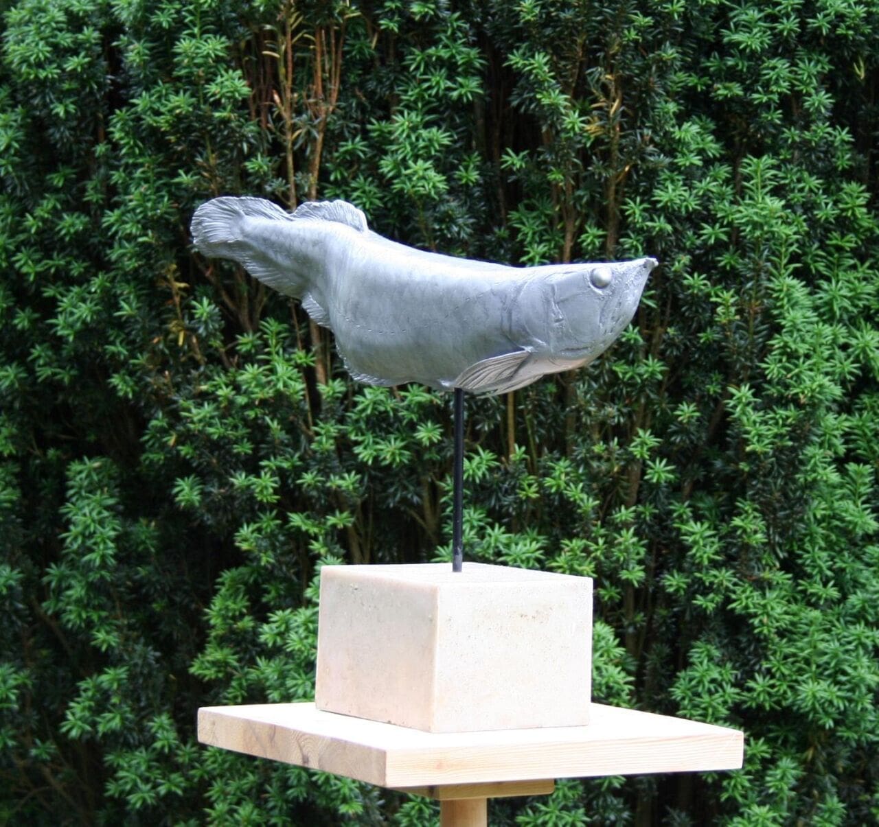 Arowana Fish (Endangered Fossil Fish Swimming statue) - Image 2