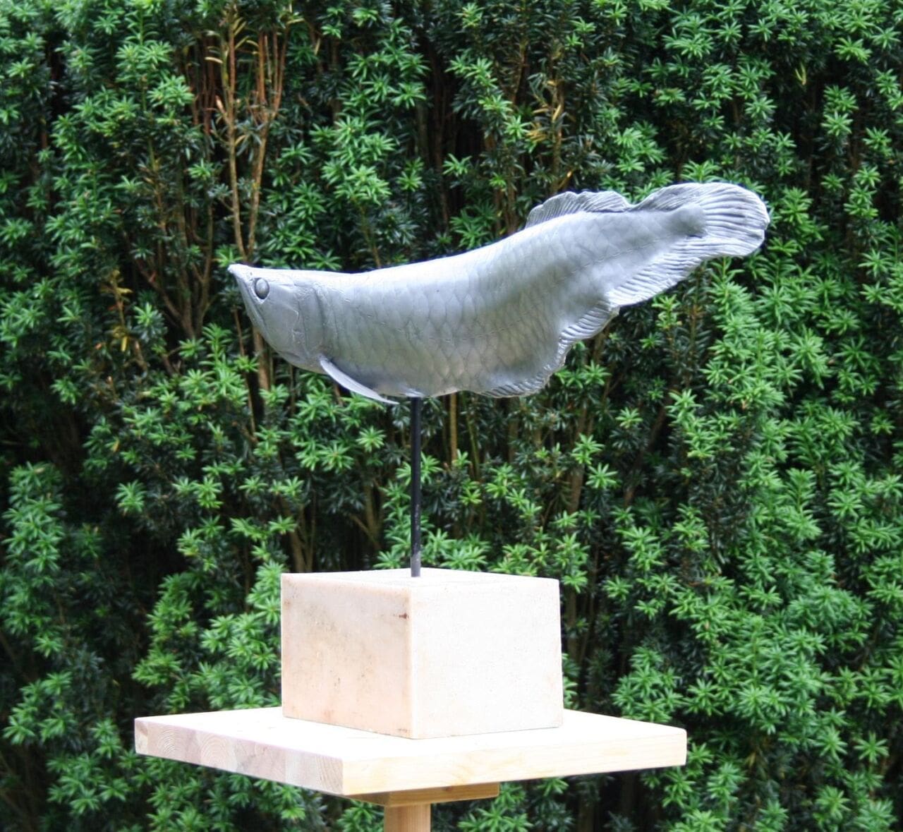Arowana Fish (Endangered Fossil Fish Swimming statue) - Image 3