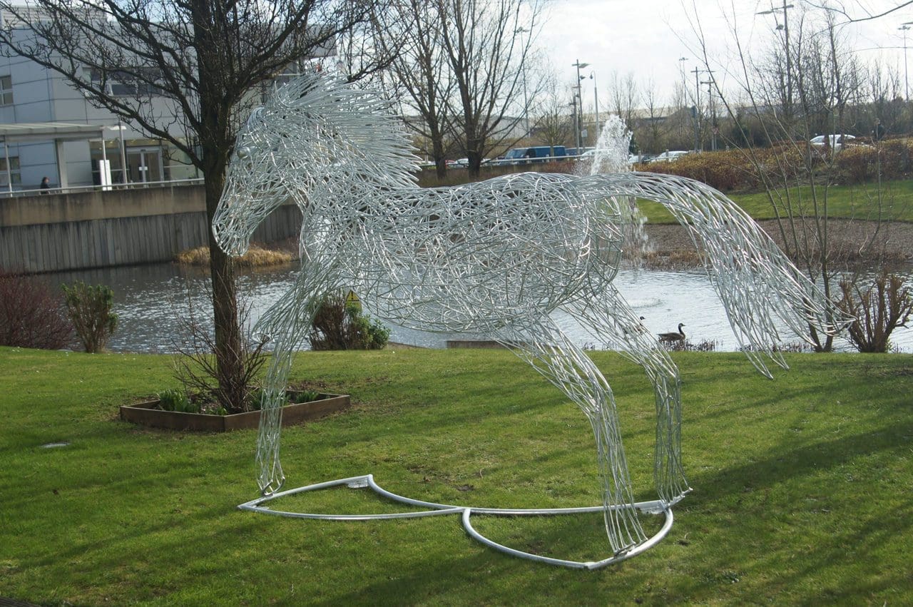 Horse - Image 4