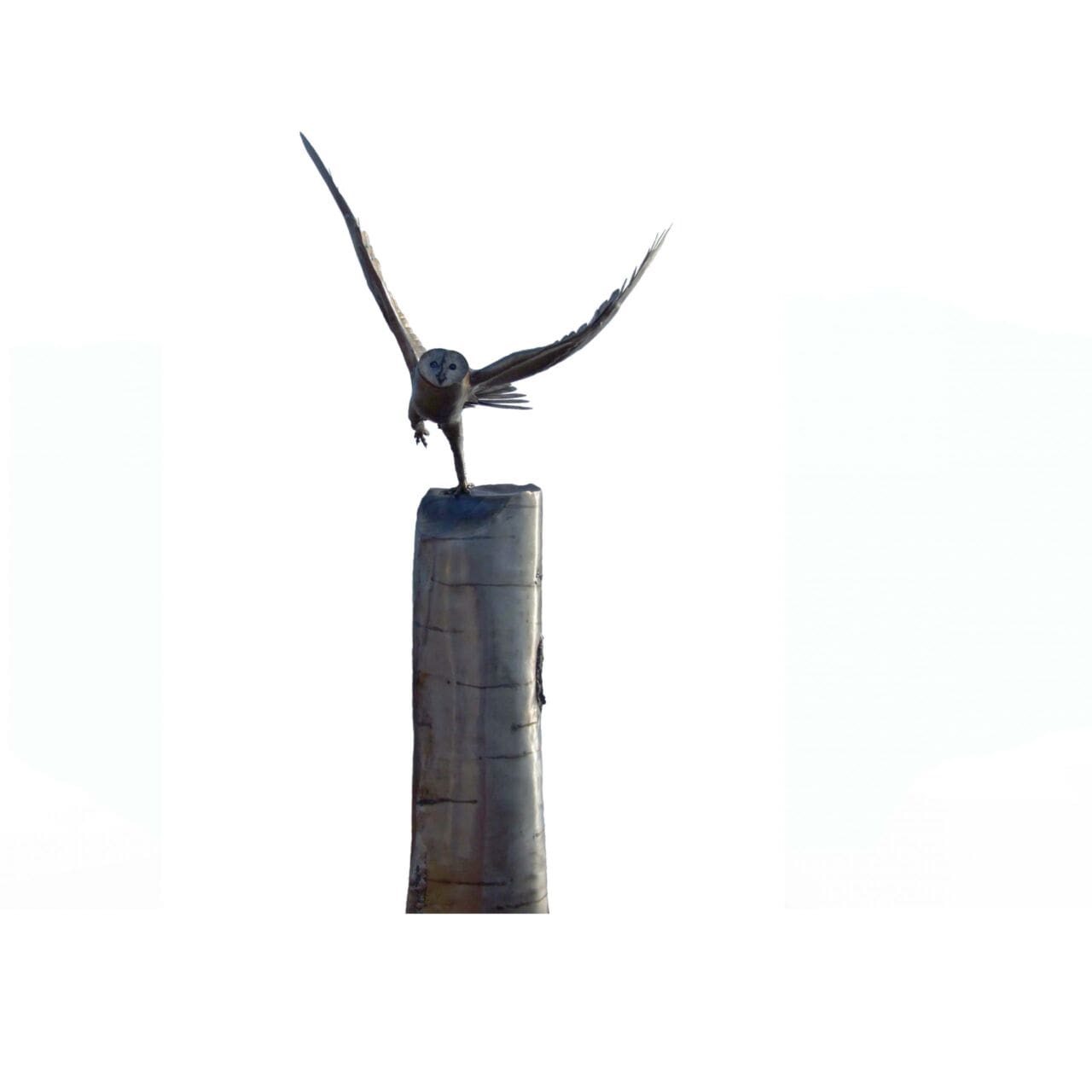 Barn Owl Taking Flight (Launching Flying sculptures) - Image 2