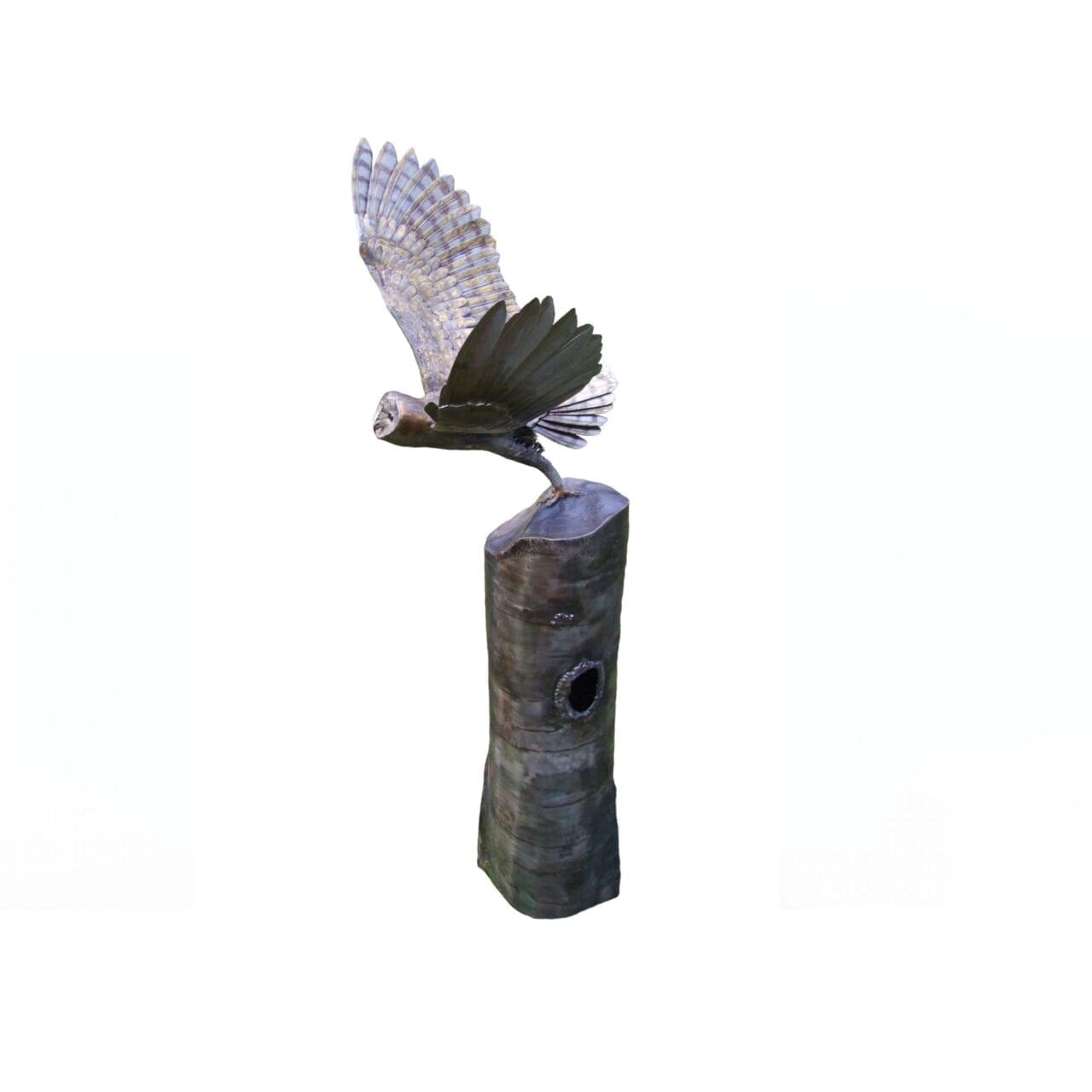 Barn Owl Taking Flight (Launching Flying sculptures) - Image 3