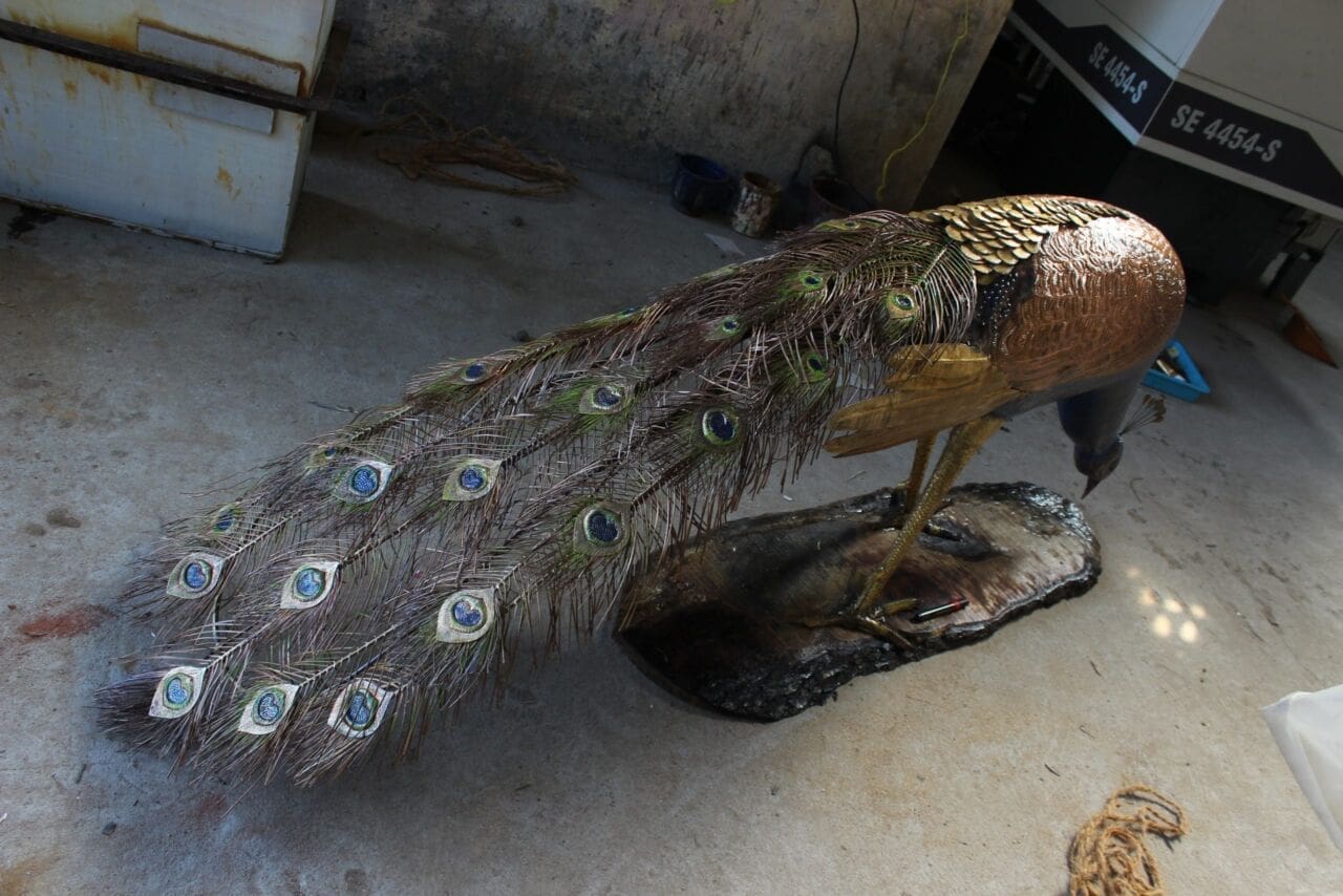 Peacock III (Copper Brass Lifesize Wild Bird statue) - Image 3