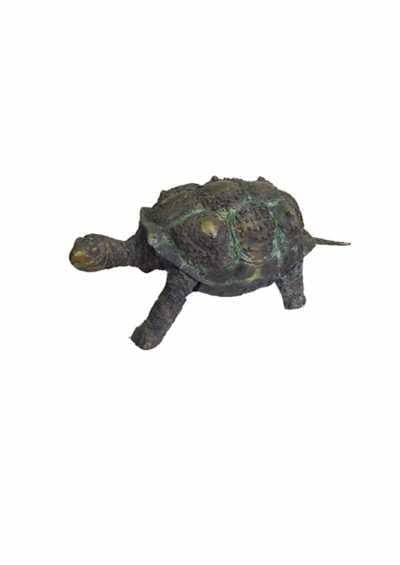 Tortoise (Bronze Lifesize Reptile statue)