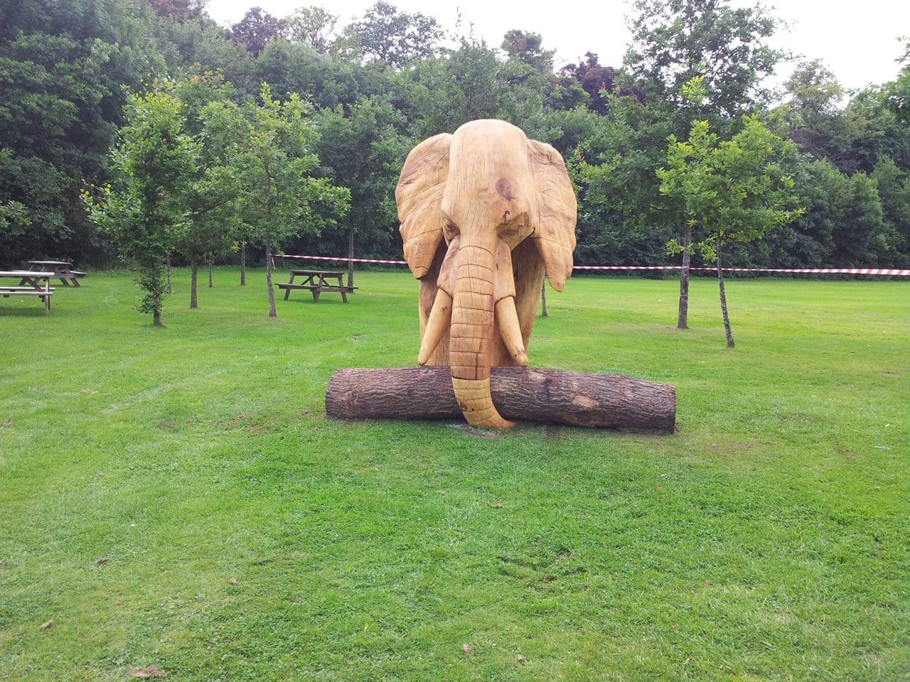 African Elephant (life size Carved Wood sculptures)