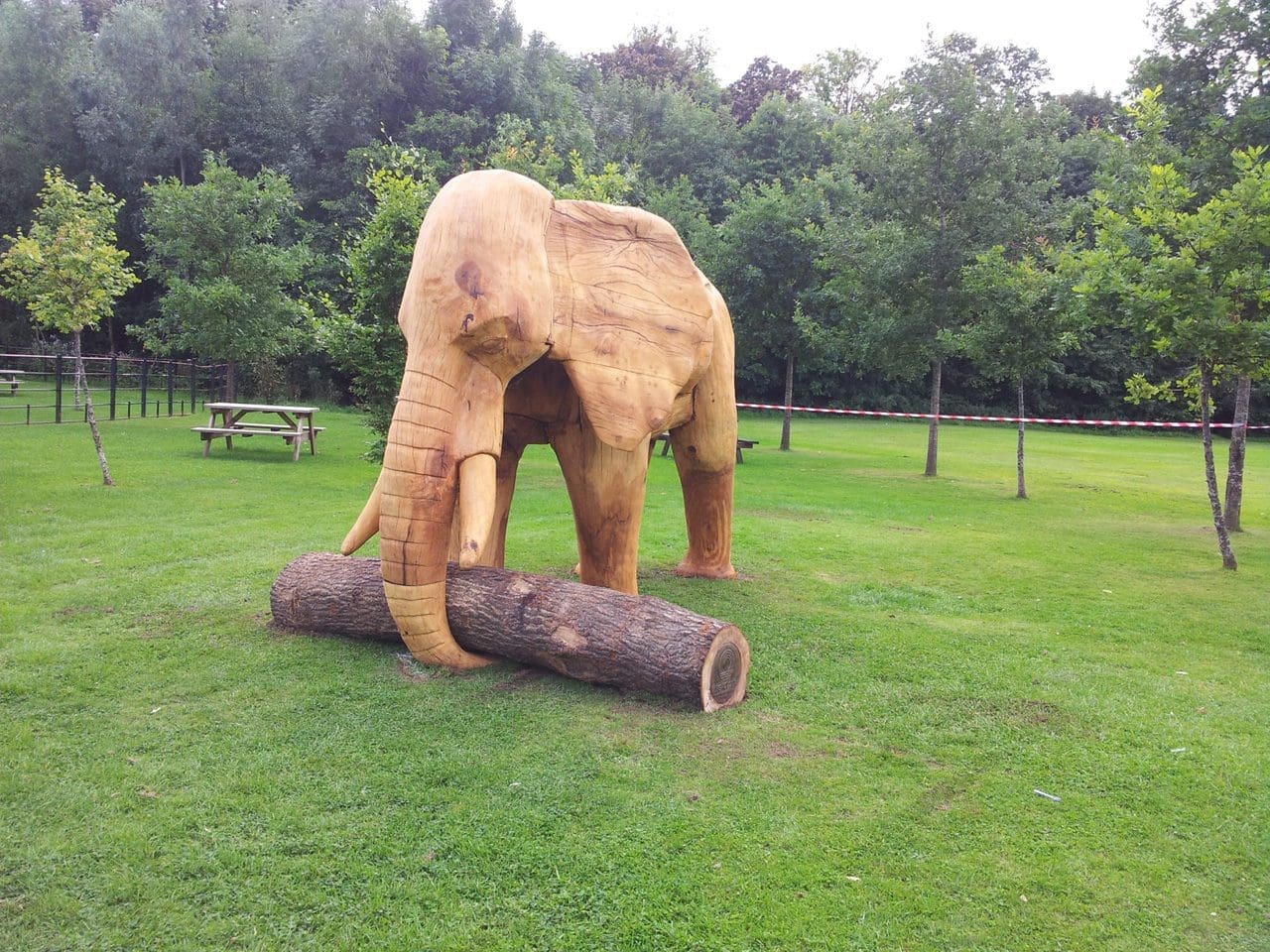 African Elephant (life size Carved Wood sculptures) - Image 3