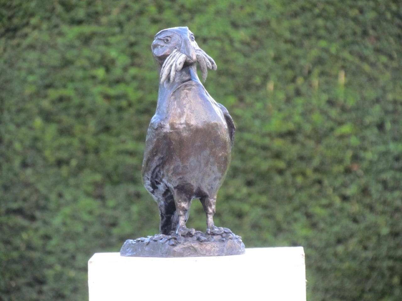 Puffin (Little Size Bronze Antarctic Seabird sculpture)