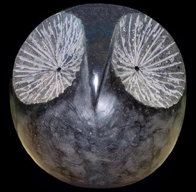 OWL (Small Carved Black Abstract Bird Owl statue)
