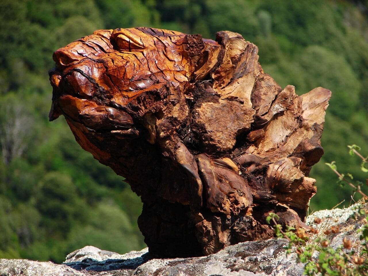 The Tiger (Bronze Big Cat sculpture)