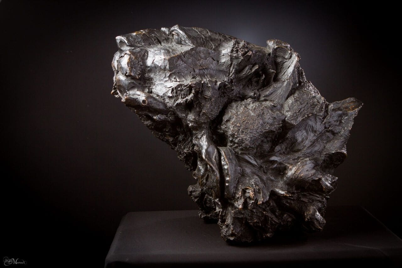 The Tiger (Bronze Big Cat sculpture) - Image 3