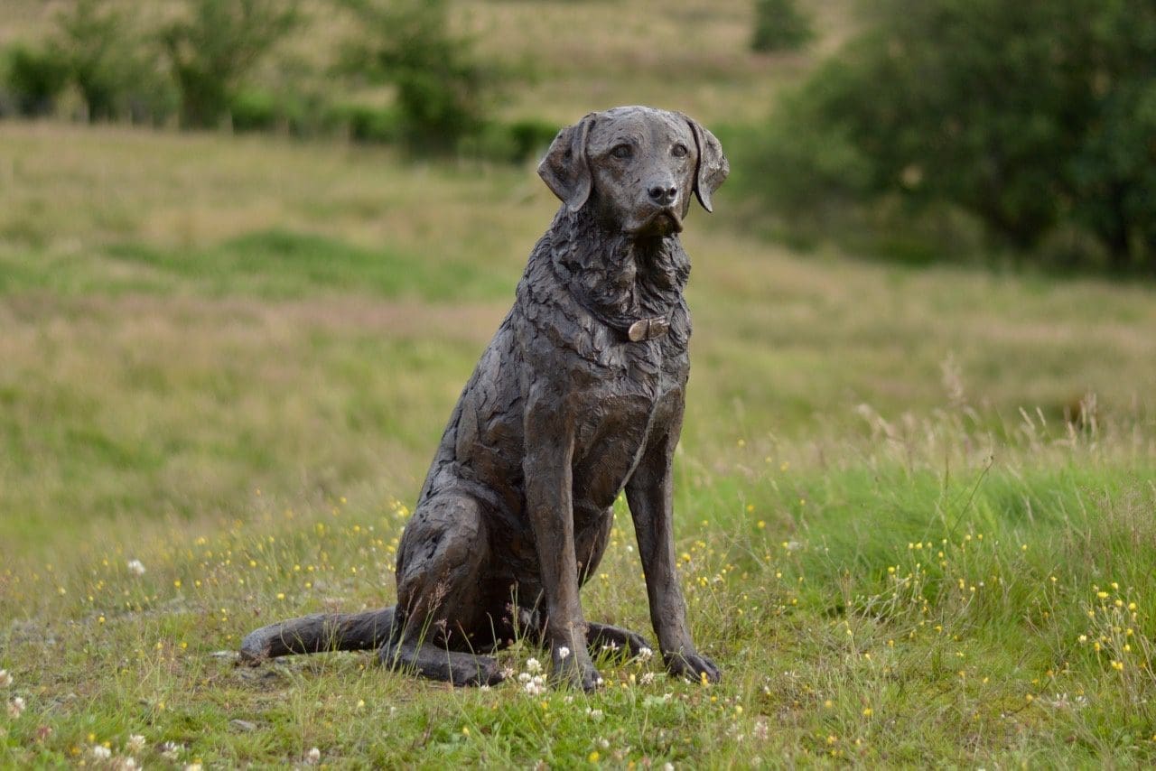 Seated Labrador (Realistic Bronze Resin Lifesize Dog Sculpture) - Image 2