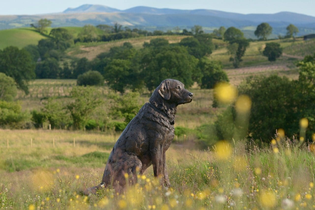 Seated Labrador (Realistic Bronze Resin Lifesize Dog Sculpture) - Image 3