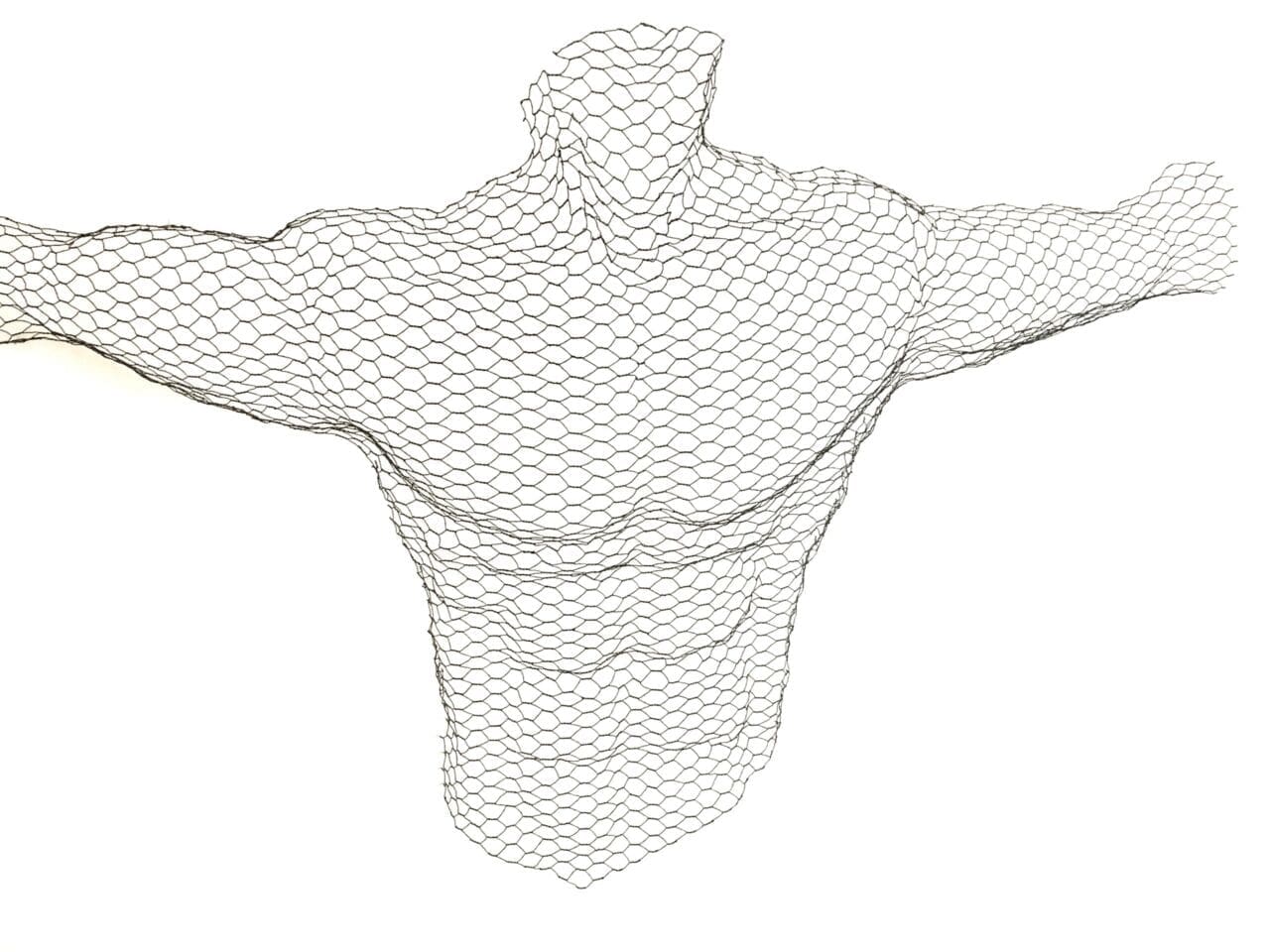 Male Torso (Detailed Wall Mounted Wire Mesh sculpture)
