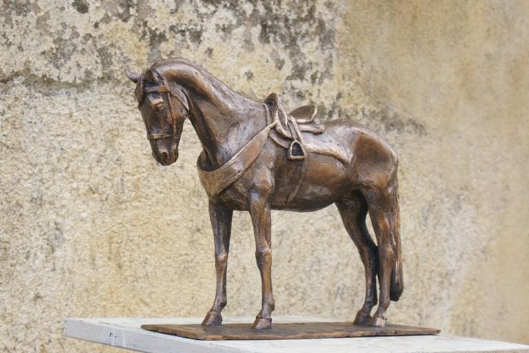 Sardinian Horse (Detailed Bronze Small Equine statue) - Image 3