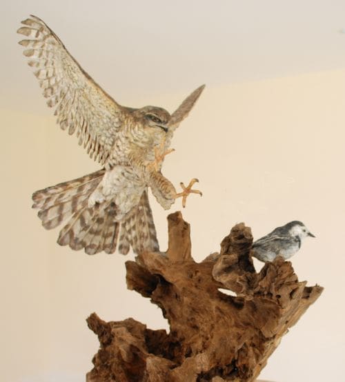 Sparrow Hawk and Pyed Wagtail (Carved and Painted)