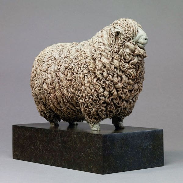 Devon and Cornwall Longwool Ram
