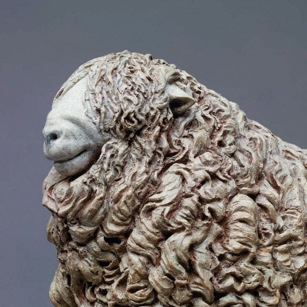 Devon and Cornwall Longwool Ram - Image 2