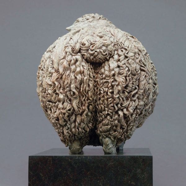 Devon and Cornwall Longwool Ram - Image 4