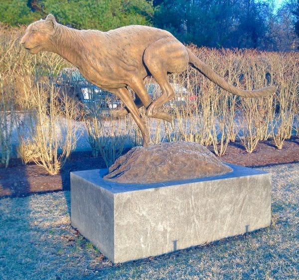 life size Bronze Cheetah sculpture